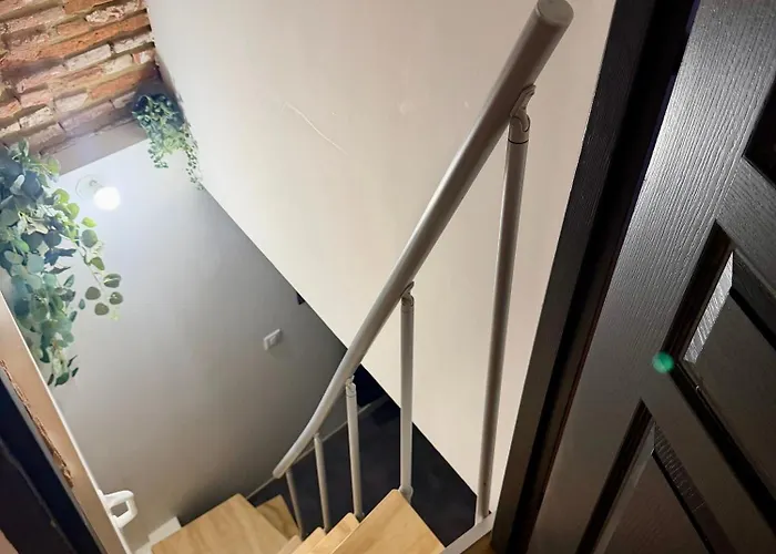 Tourneurs Toulousain - Charme & Spacieux - 2 - Centre *