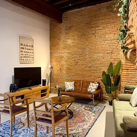 Tourneurs Toulousain - Charme & Spacieux - 2 - Centre