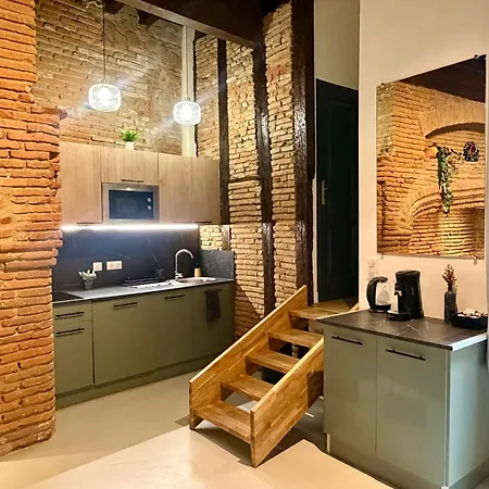Apartmán Tourneurs Toulousain - Charme & Spacieux - 2 - Centre Toulouse