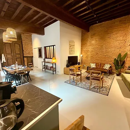Apartmán Tourneurs Toulousain - Charme & Spacieux - 2 - Centre