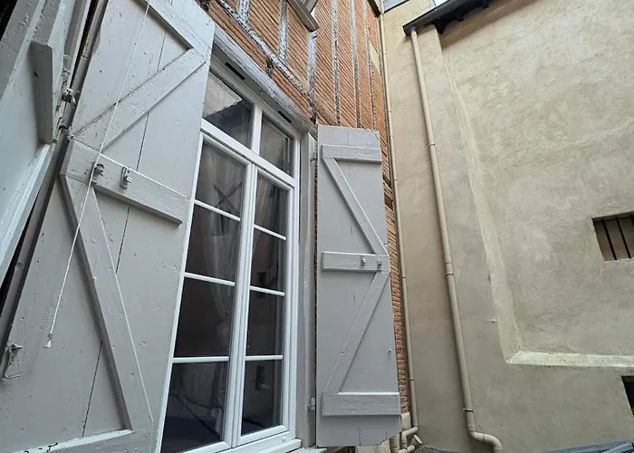 Tourneurs Toulousain - Charme & Spacieux - 2 - Centre Apartment