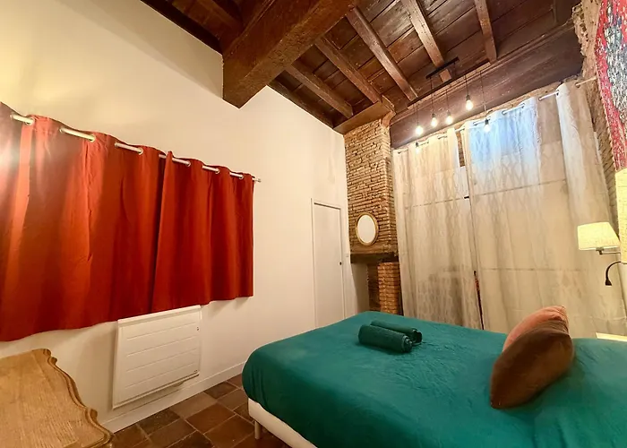 Tourneurs Toulousain - Charme & Spacieux - 2 - Centre * Toulouse