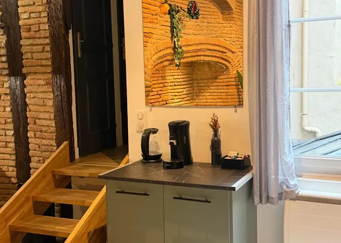 Tourneurs Toulousain - Charme & Spacieux - 2 - Centre Apartment Toulouse